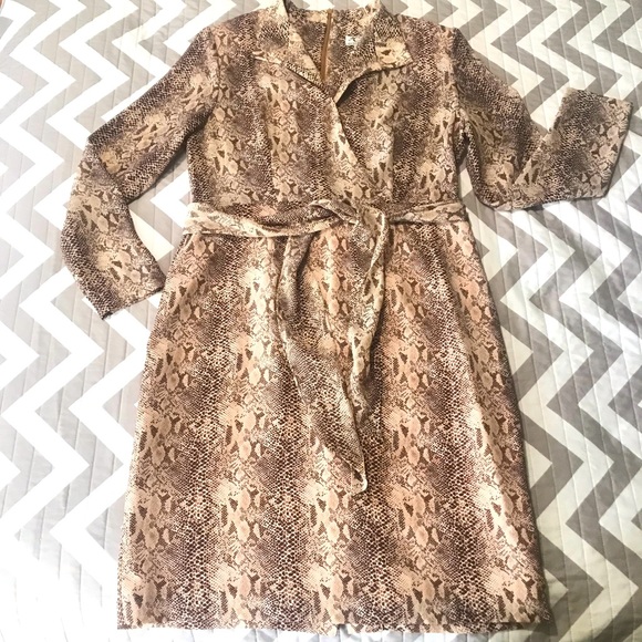 Clues collection New York Paris animal print dress - Picture 1 of 14